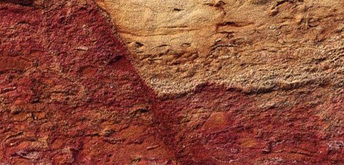 Rencontre avec les créateurs des laque-films de l'exposition "Mémoires de sols"
