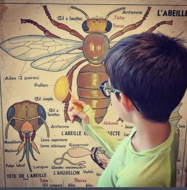 Atelier créatif et visite de la miellerie