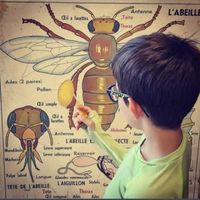 Atelier créatif et visite de la miellerie