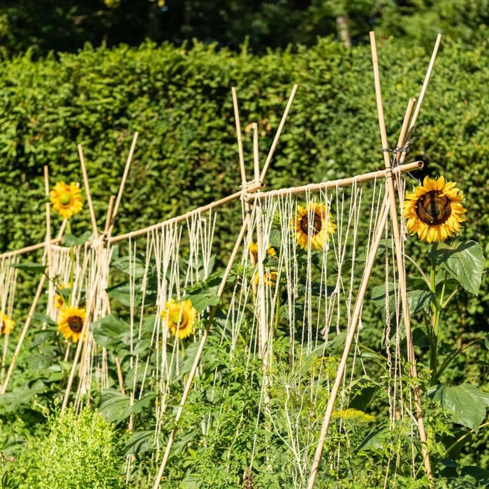 Les Jardins de Voltaire