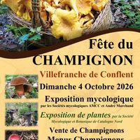 Fête du Champignon