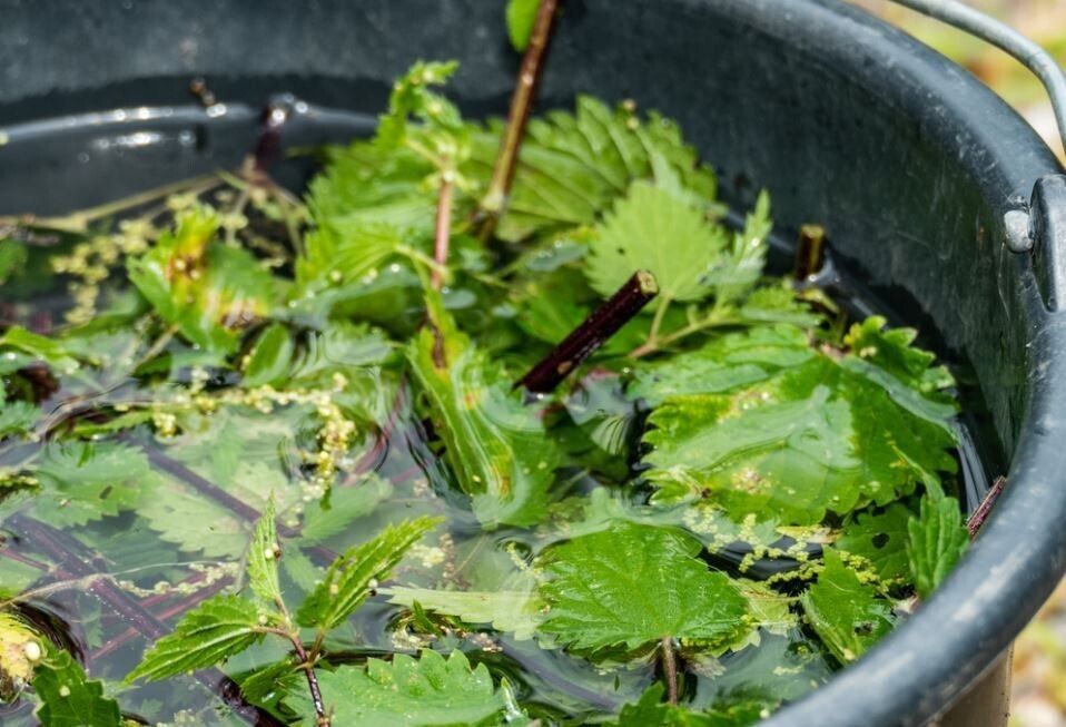 Les potions au jardin