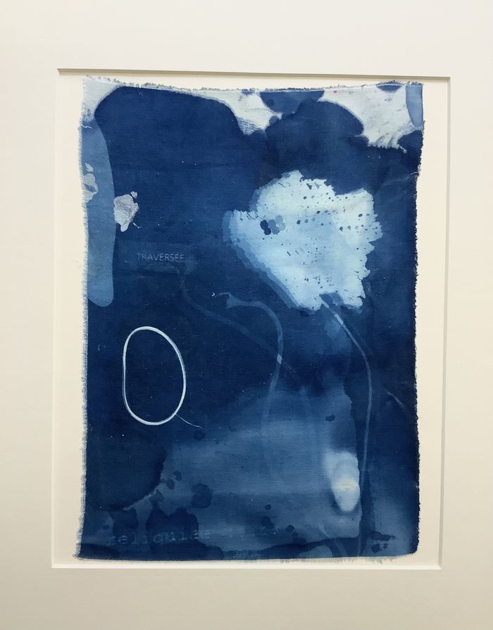 Chasseurs d'Ombres et de Bleu