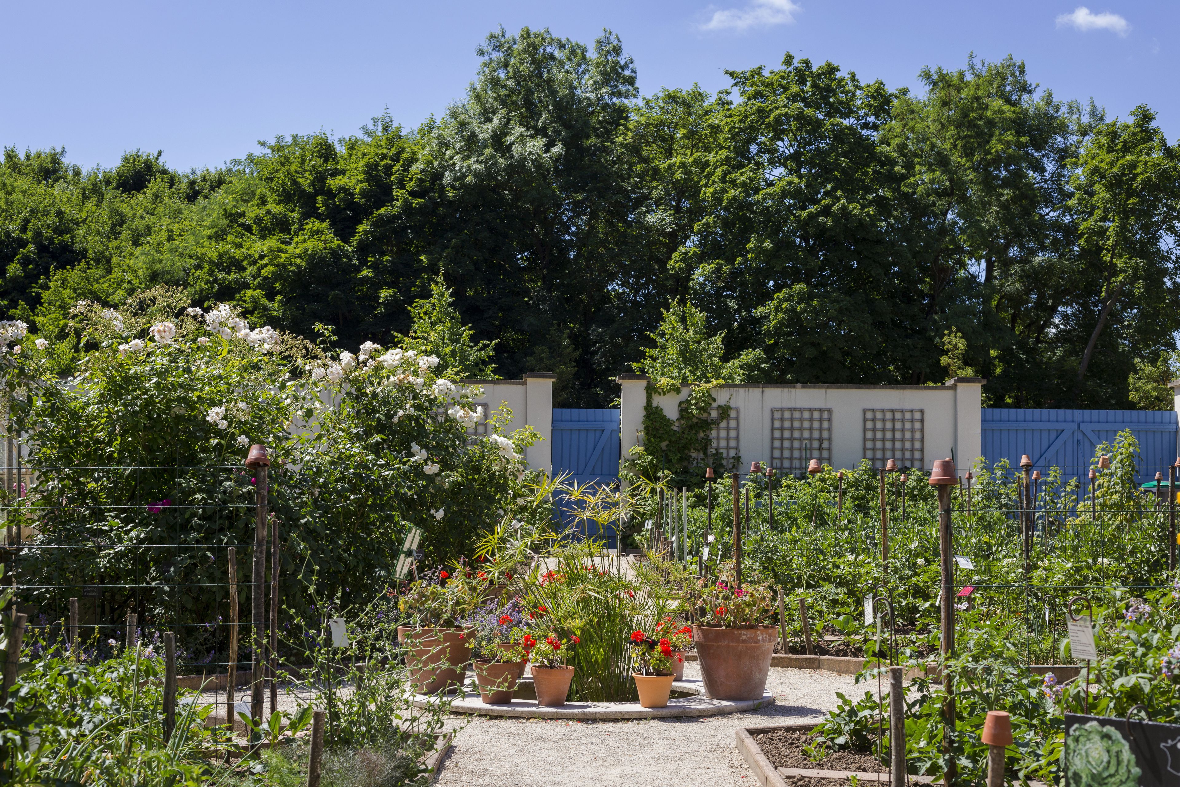 Visite libre du potager du Parc Caillebotte