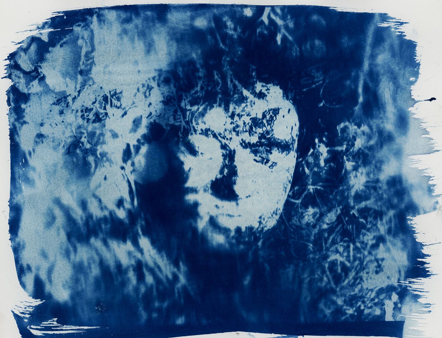 Image par image : animation en cyanotype
