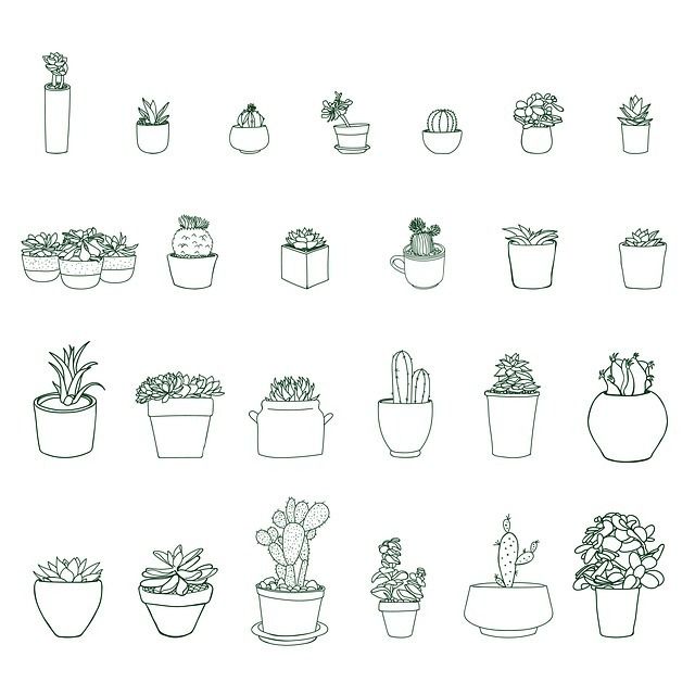 Troc aux plantes