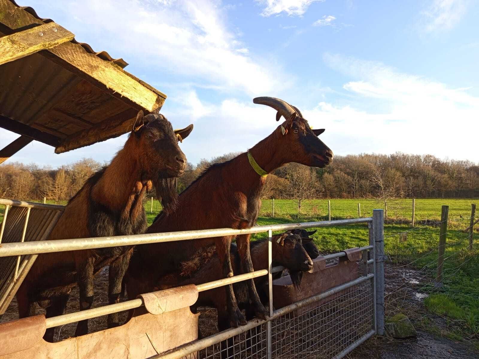 Visite de la ferme du Bois Nozay