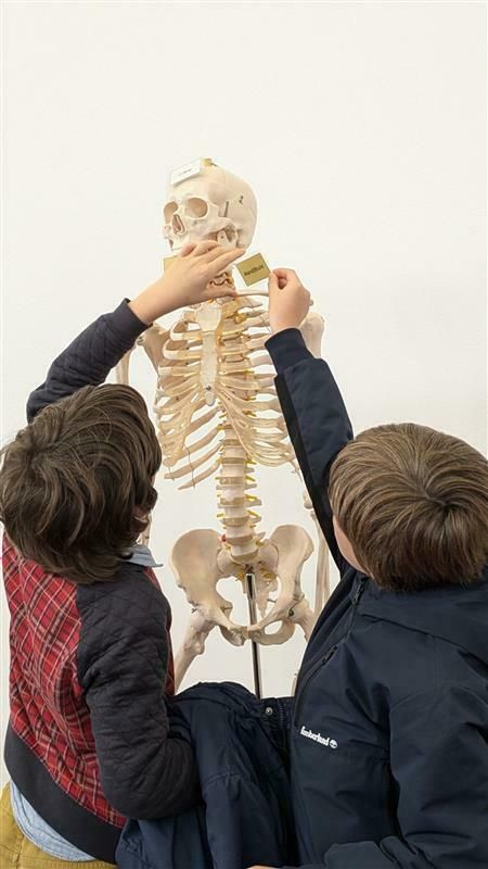 Faire parler les morts – Atelier archéo-anthropologie