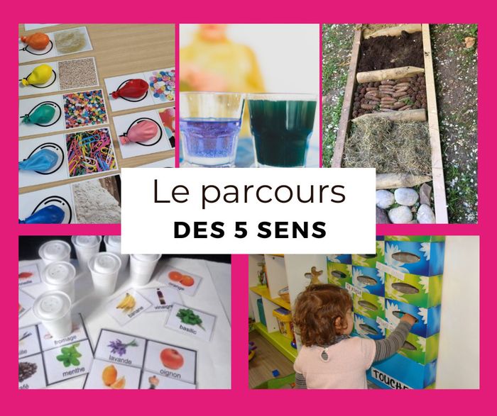 Parcours autour des 5 sens