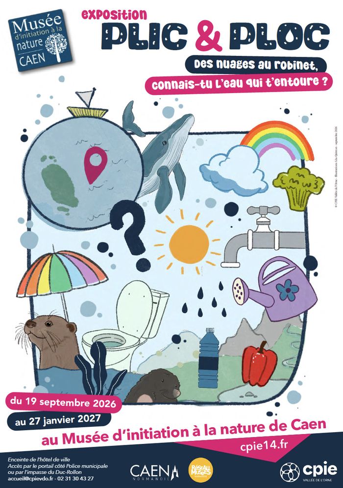 Plic & Ploc. Des nuages au robinet, connais-tu l'eau qui t'entoure ?