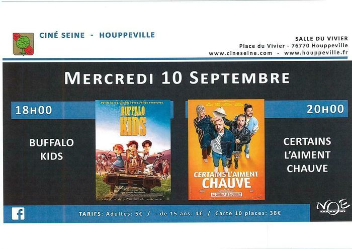 2 séances de cinéma à la salle du vivier -Houppeville