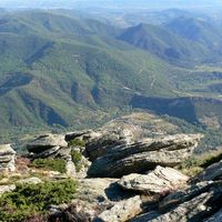 Randonnée pédestre “Les Sangliers du Caroux”
