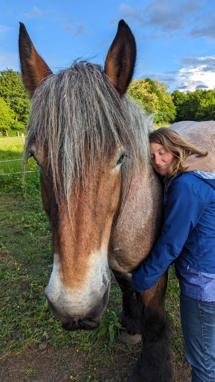 Découverte du centre d’équithérapie en pleine nature : LP Médiation équine