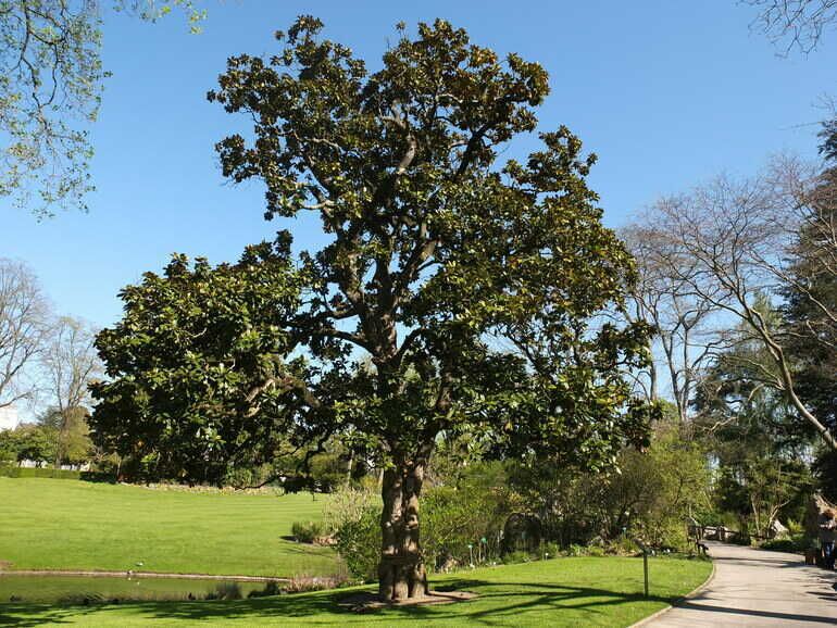 Jardin des Plantes