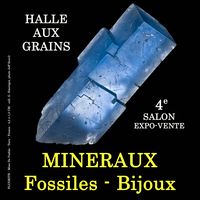4e SALON MINERAUX FOSSILES BIJOUX de CASTELNAUDARY (Aude)