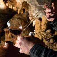 Vinospéléologie