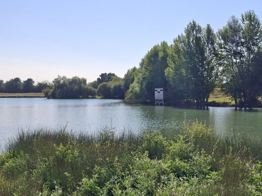 Découverte de la biodiversité au travers d'ateliers nature