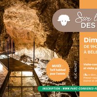 sur les traces des bergers