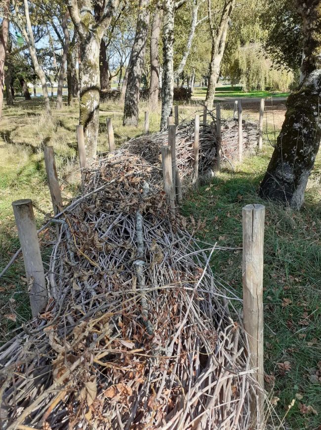 Atelier - Création d'une haie sèche