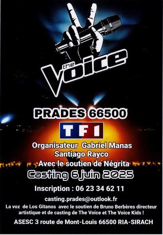 Casting The Voice