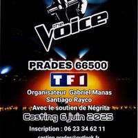 Casting The Voice