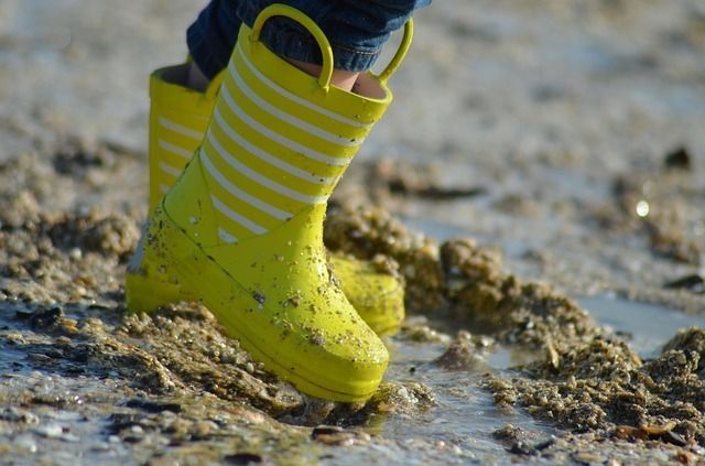 Sortie découverte de la pêche à pied
