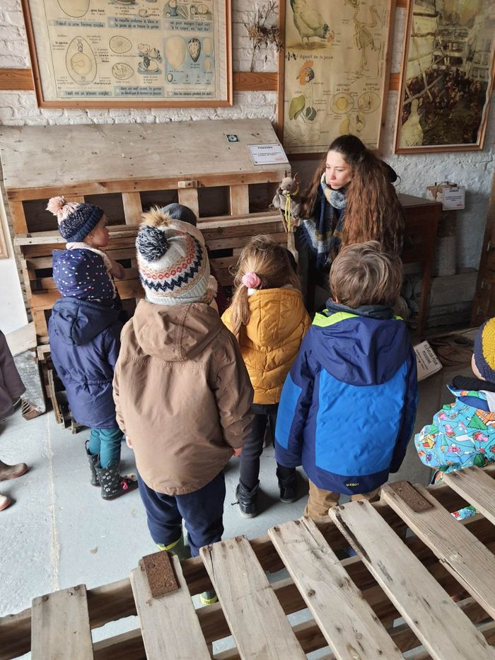 Visite guidée 2-5 ans | « Zélie, la petite souris, cherche un abri »