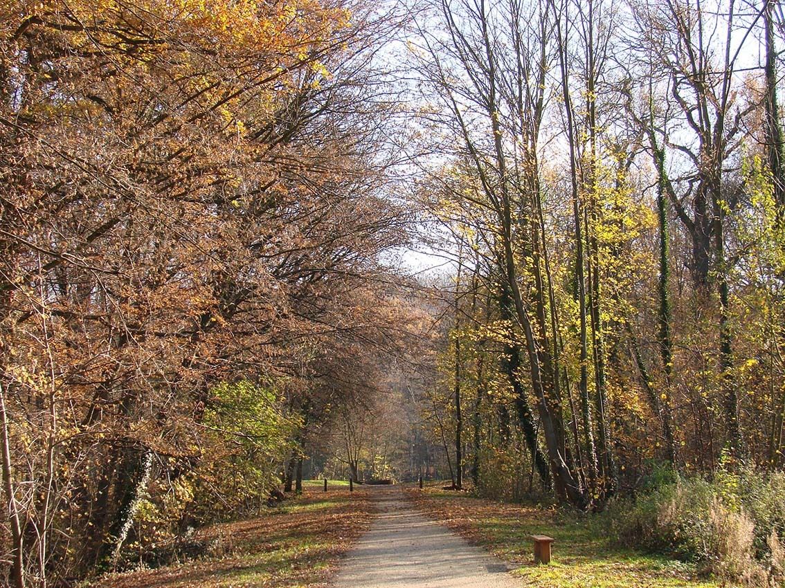 Randonnée : symphonie d'automne