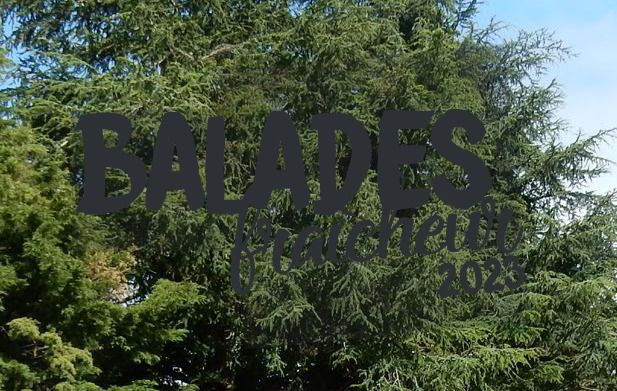 Entre Sambrès Et Saint-Sernin : Balades Fraicheur