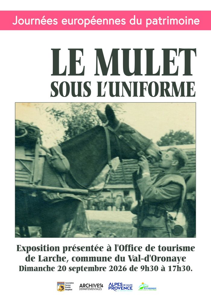 Visite exposition "Le mulet sous l'uniforme"