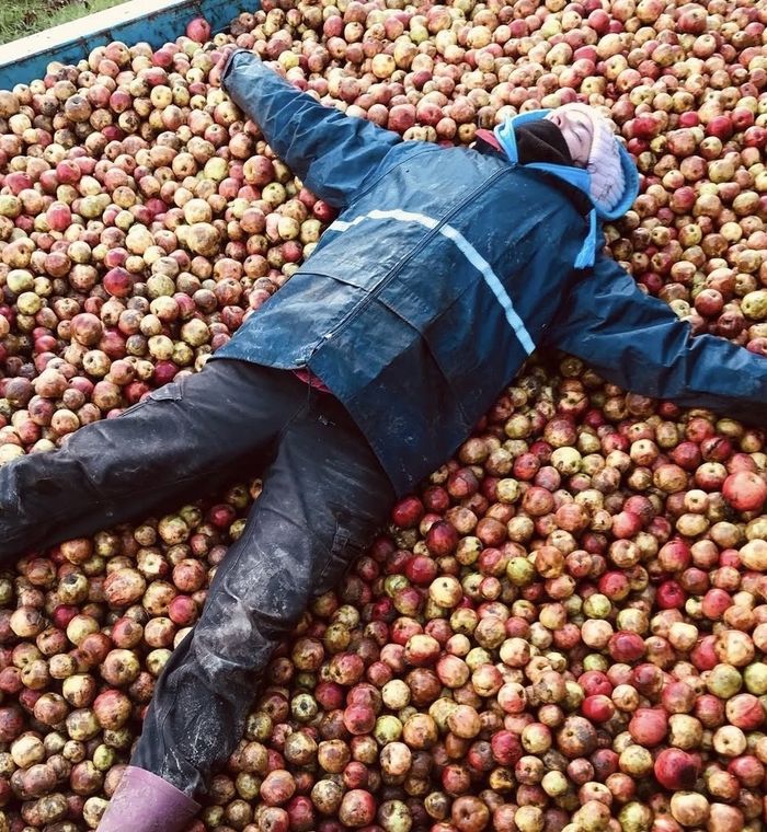 À la découverte des jus du verger
