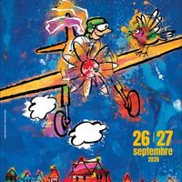 Meeting aérien : Des étoiles et des ailes