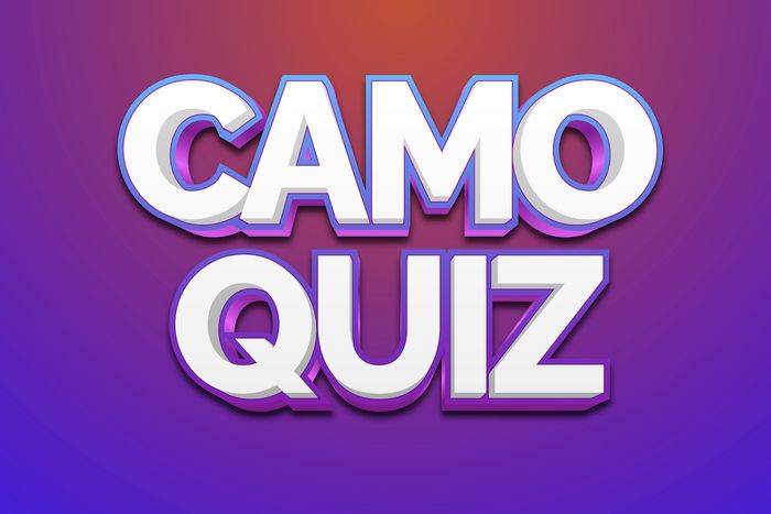 CamoQuiz !