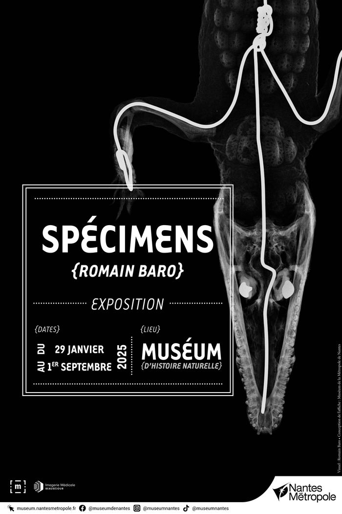 Exposition Spécimens