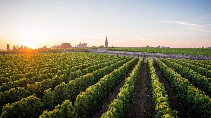Atelier Grands crus de Bordeaux