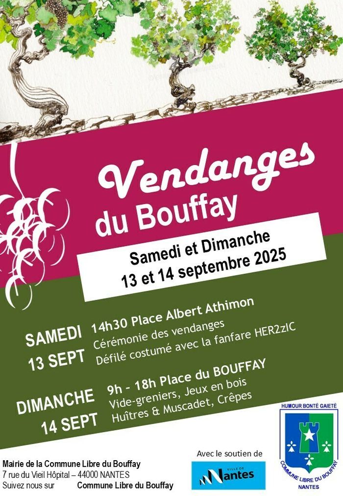 Les vendanges du Bouffay