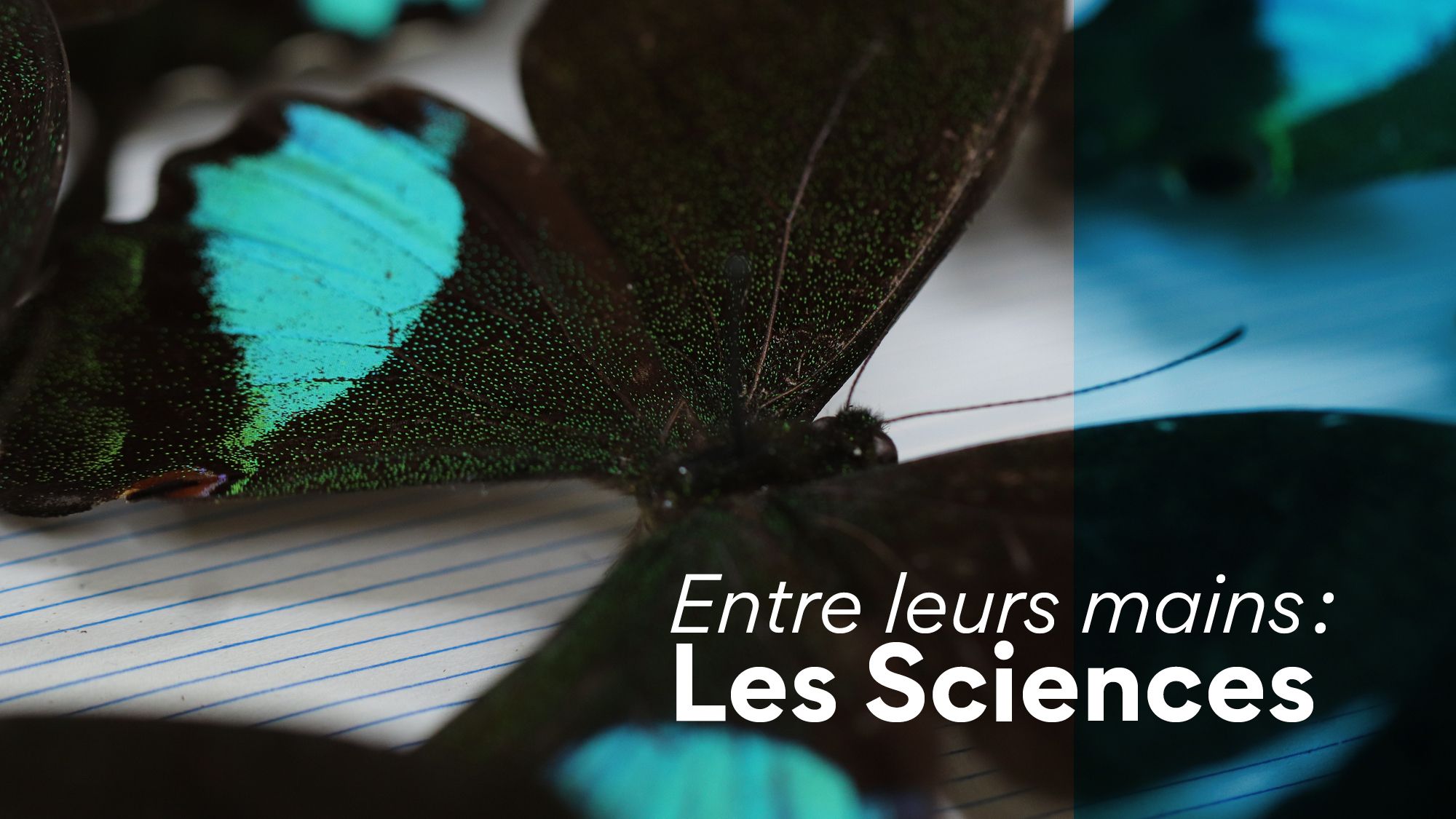 Une exposition photographique au cœur des métiers scientifiques