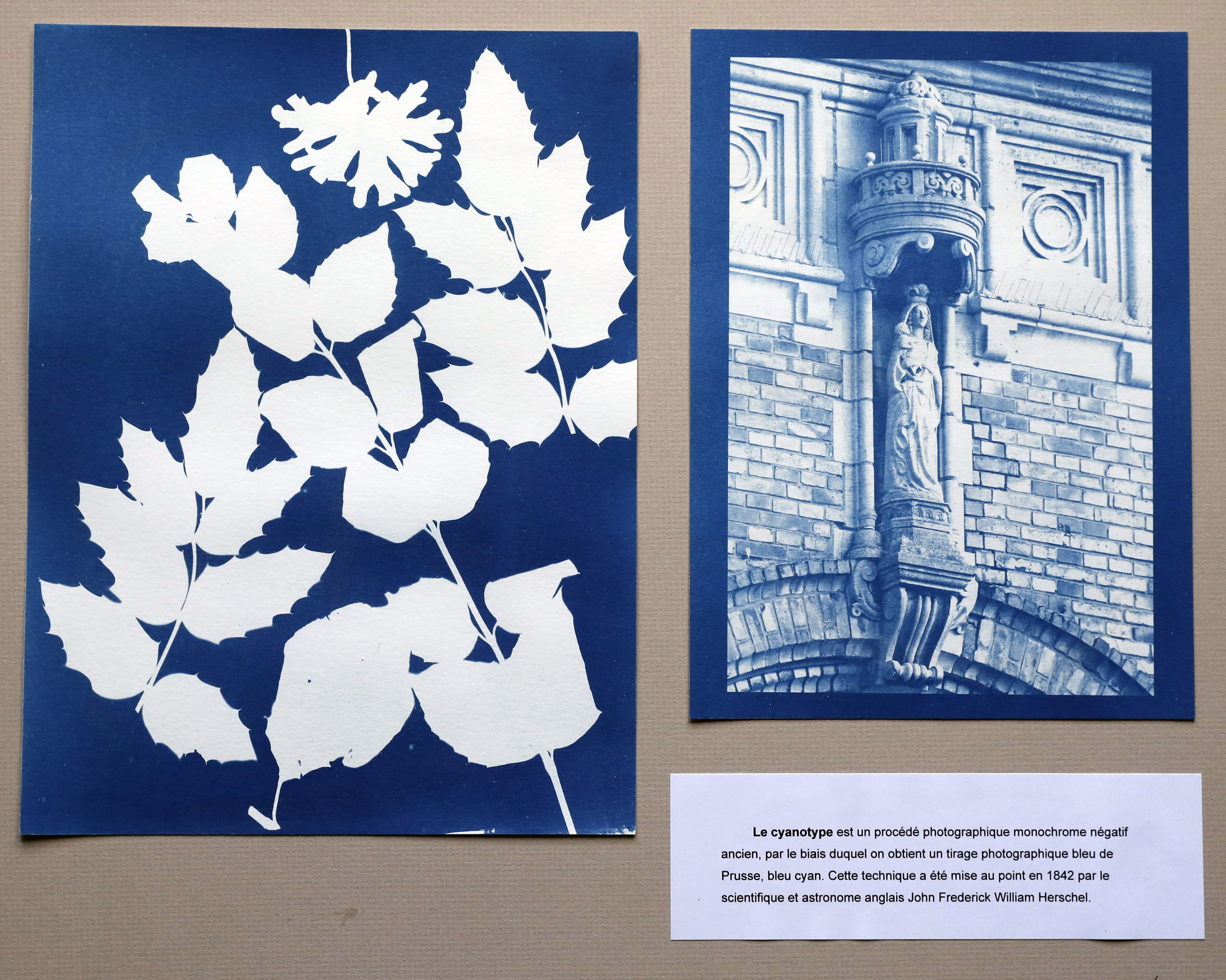 Visite du local du Photo-club de Bailleul et atelier cyanotype