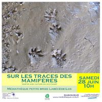 Traces et empreintes