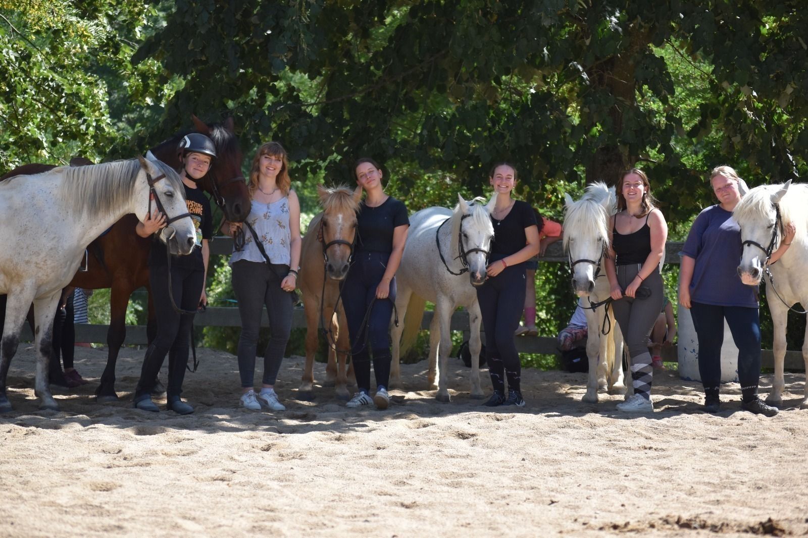 Séjour 100% équitation