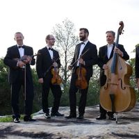 Concert : Chambre Philharmonique Cologne