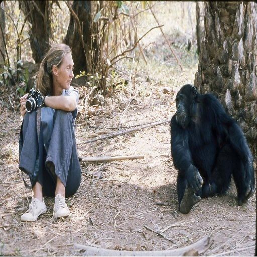 Jane Goodall - Une parole pour l'histoire, un message de Paix et d'Espoir