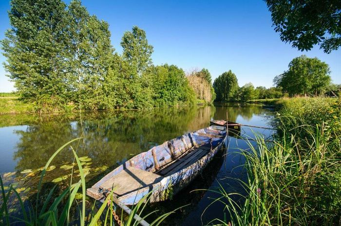 Rives d’été