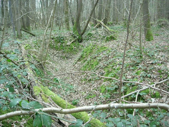 Sortie nature coorganisée par Île-de-France Nature et  l'association musée 14/18 de Villeroy : les vestiges de la Grande Guerre en forêt de Montgé
