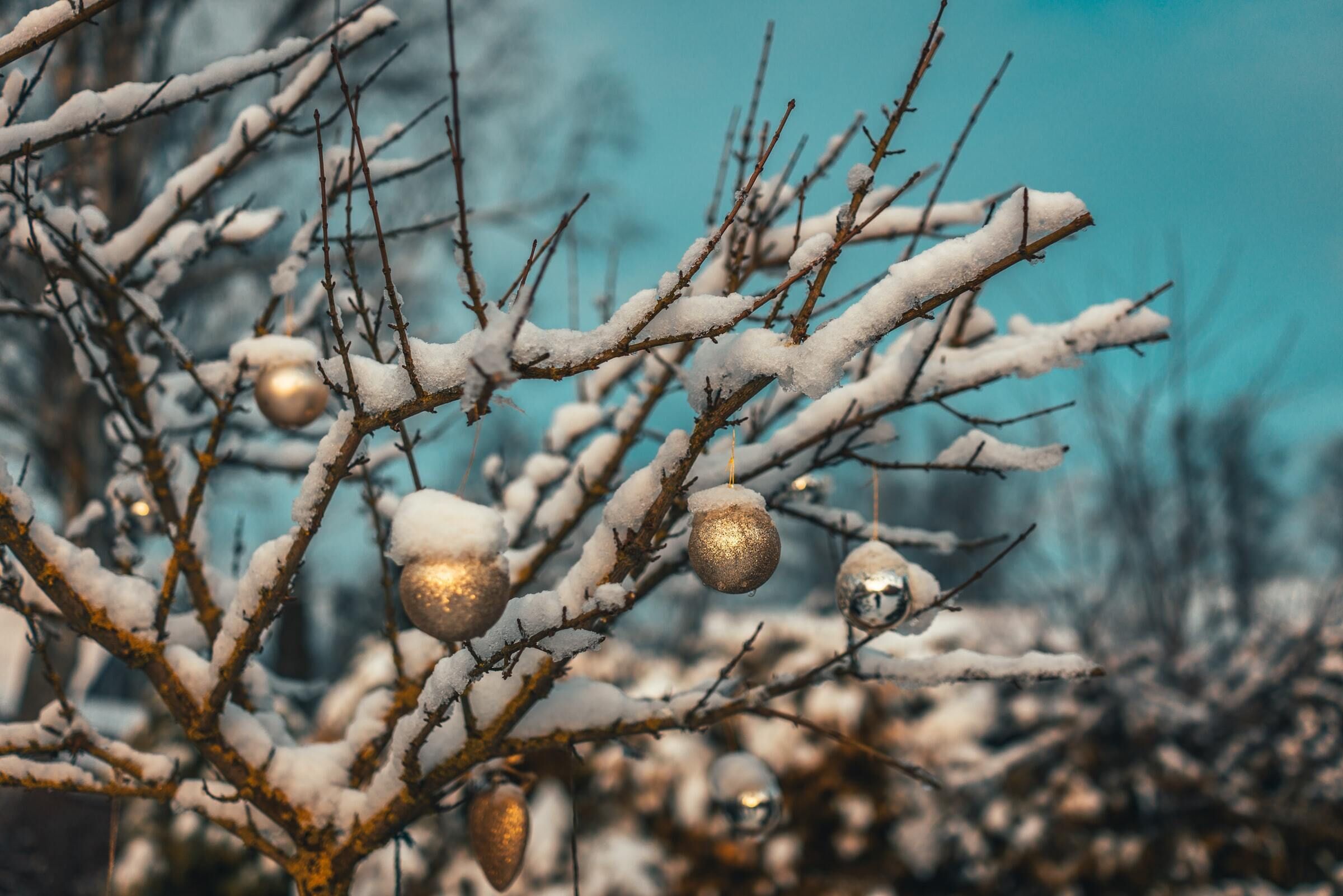 Veillée de Noël