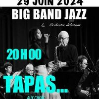 Concert Big band Jazz spéciale Eims