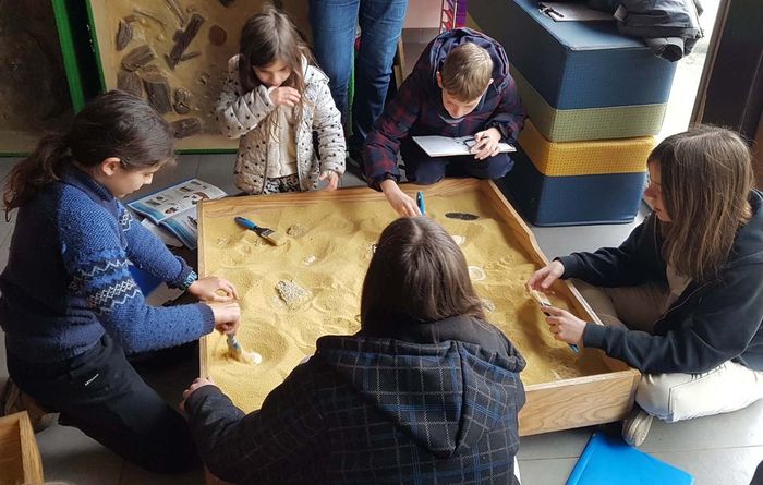 Atelier : "Que nous racontent les fossiles ?"