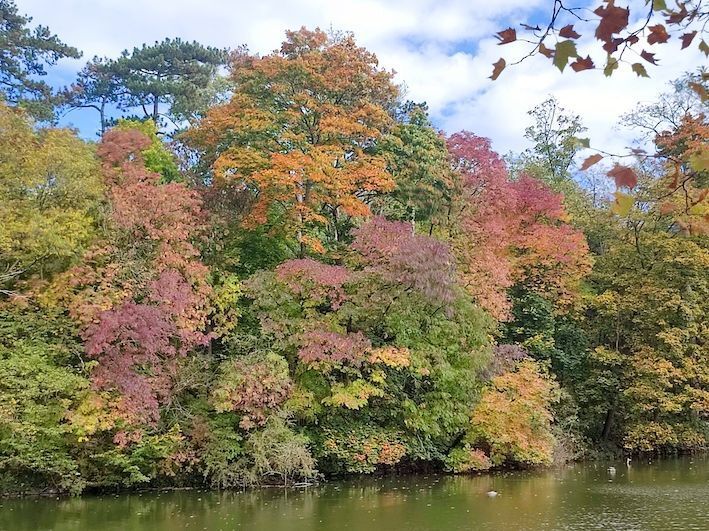 Autumn Escapade, Botanical Walk