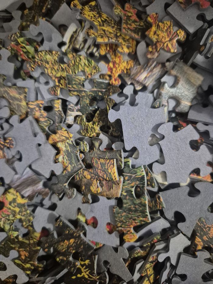 Défi puzzle