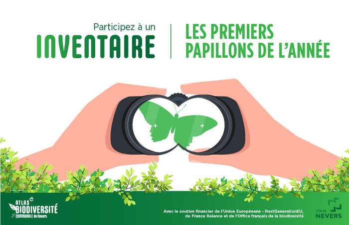 Enquête participative sur les premiers papillons